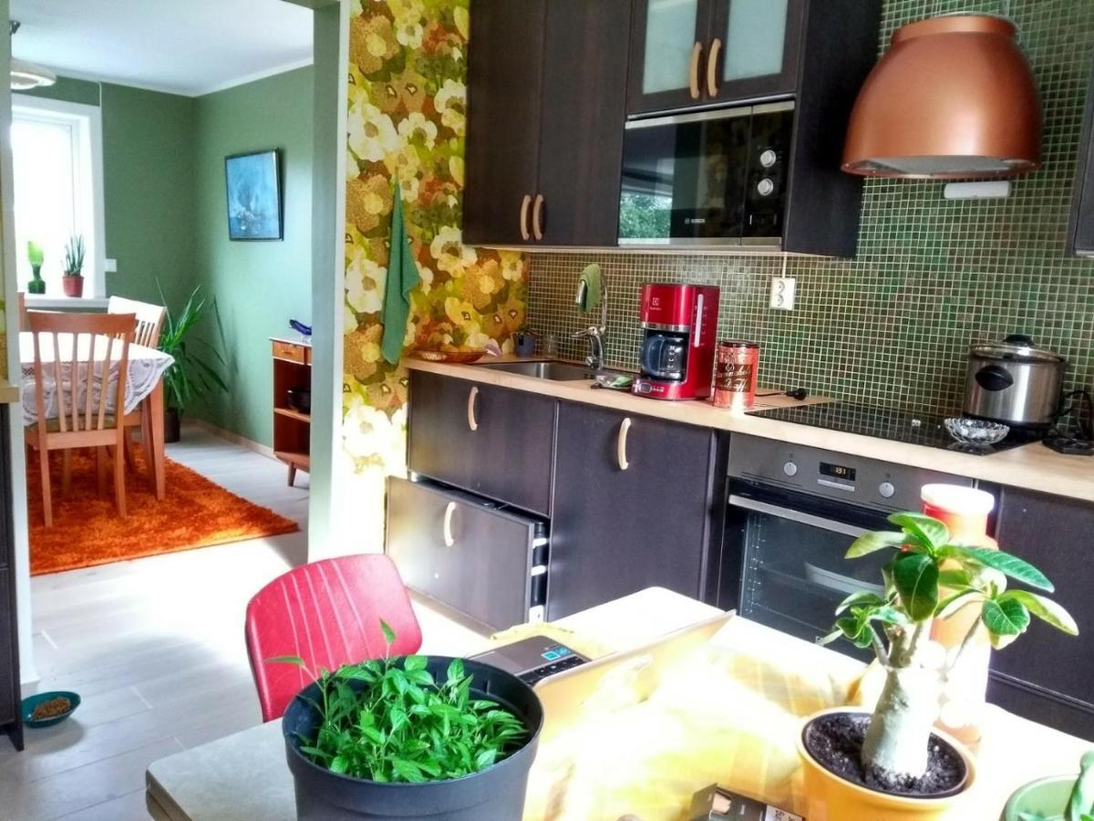 Joey'S Appartement Skjervoy Buitenkant foto